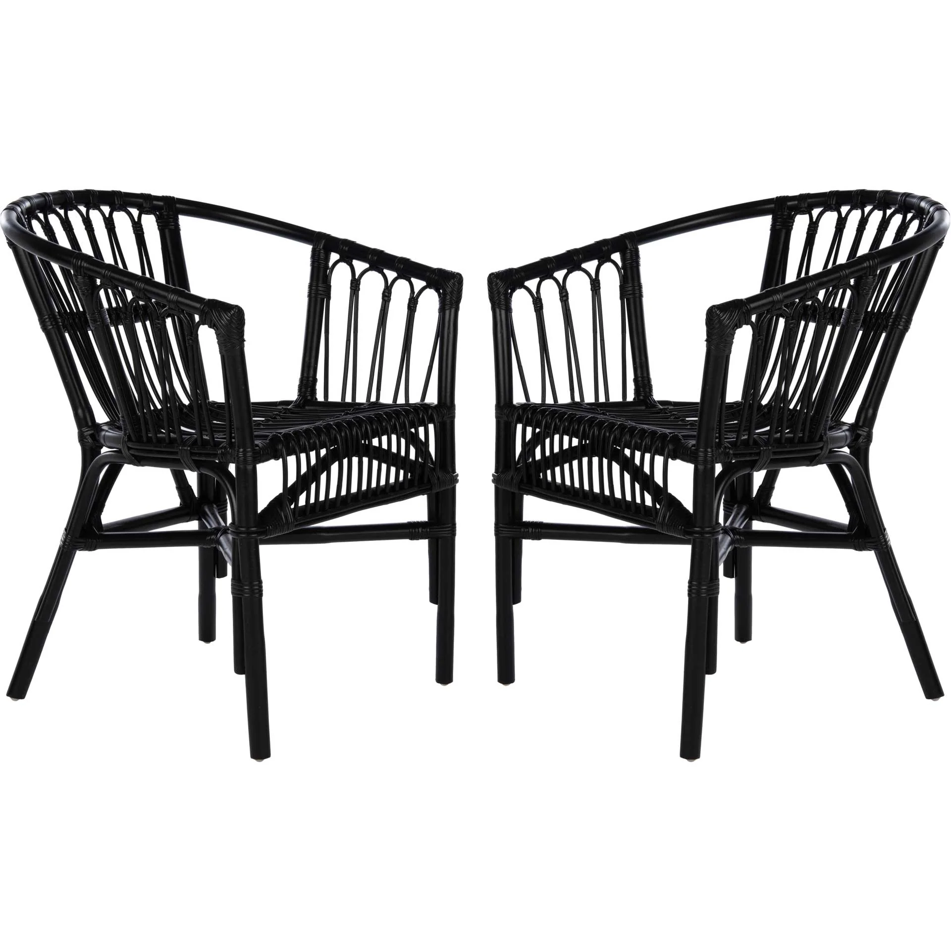 Adhara Rattan Accent Chair Black (Set of 2) - Image 7