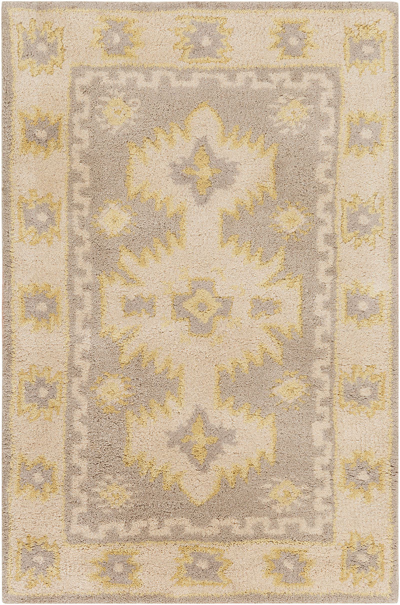 Albuquerque Beige/Gray Area Rug - Image 3