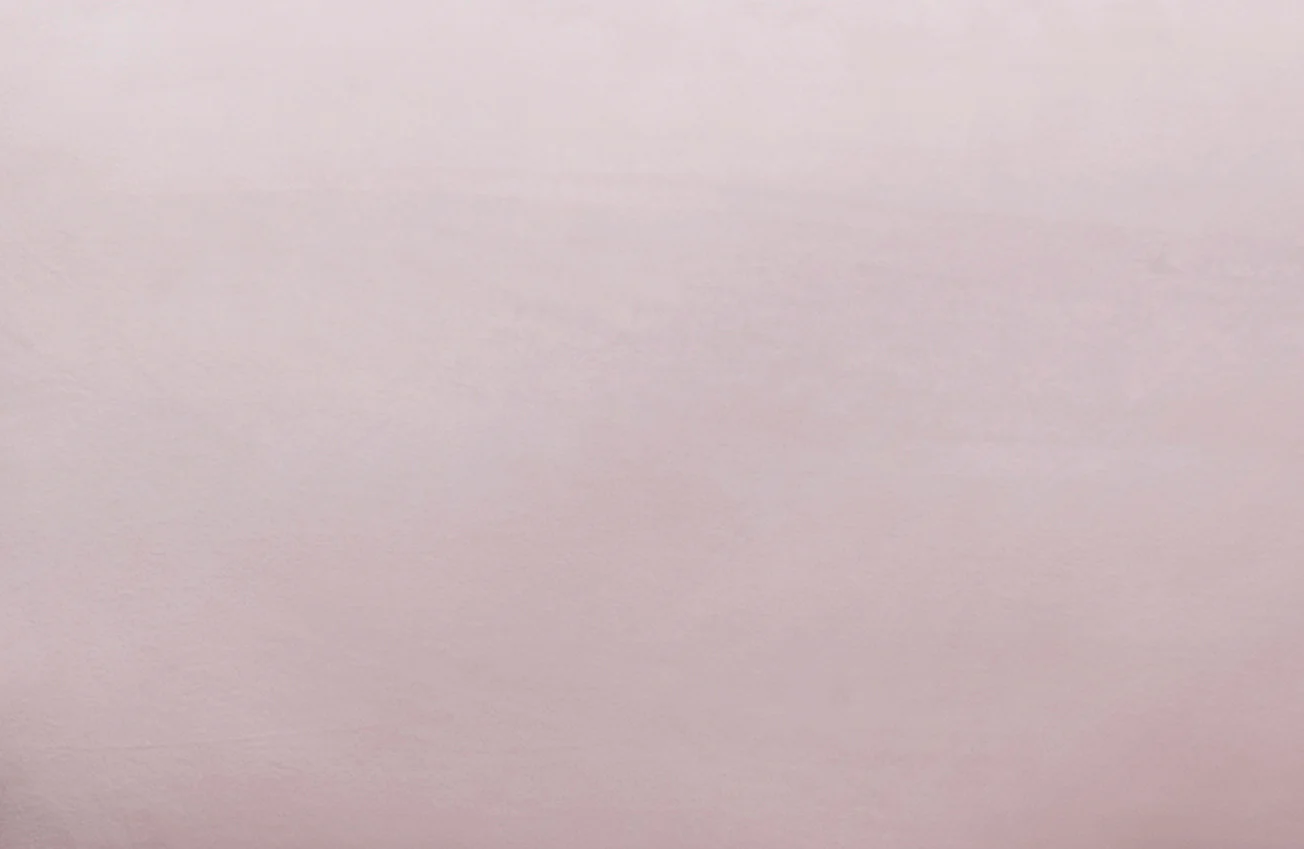 Alex Velvet Chair Blush - Image 5