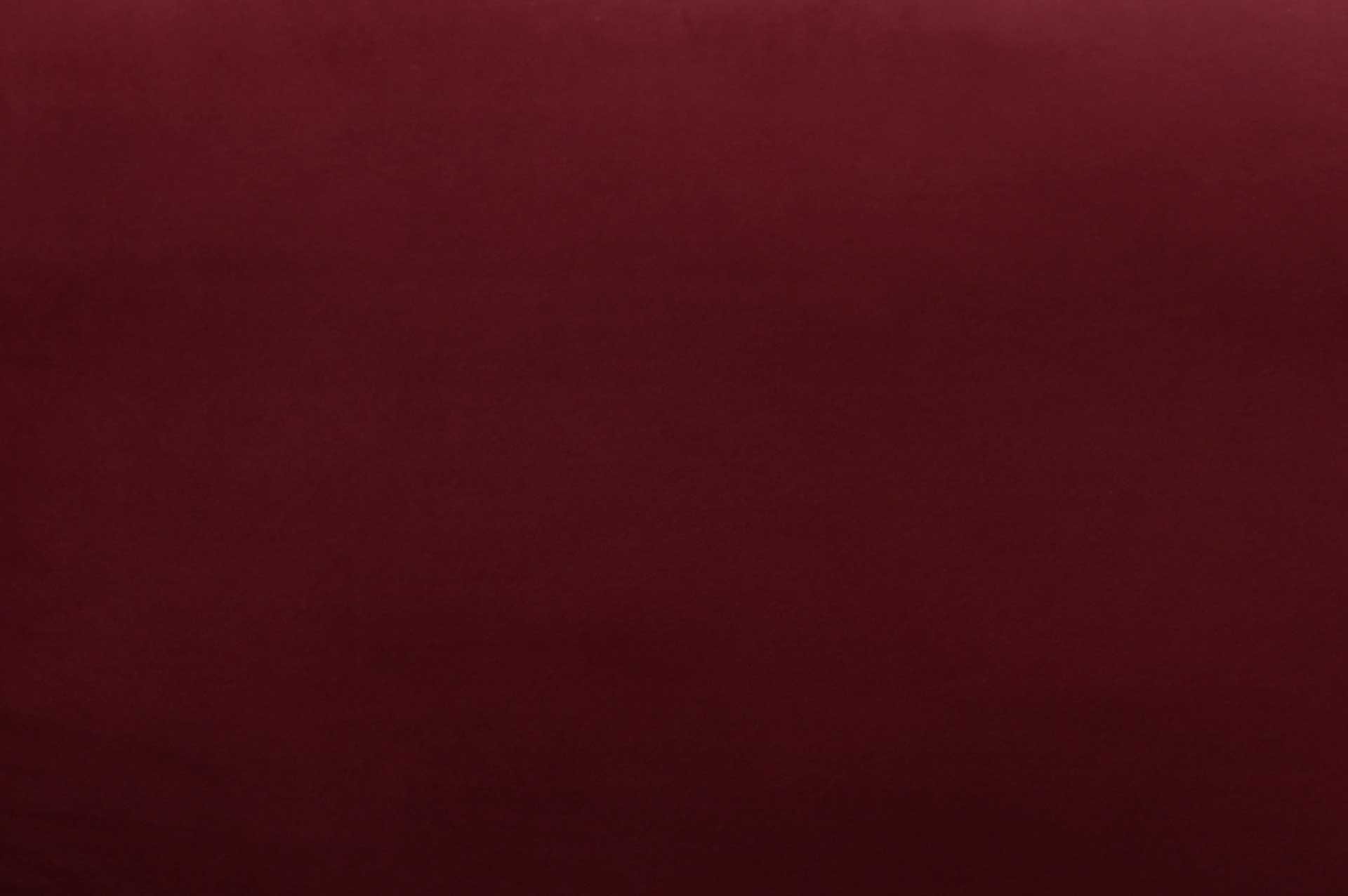 Alex Velvet Chair Maroon - Image 5