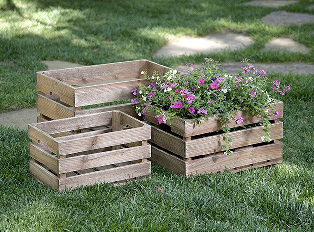 Alexander Wood Crates - Image 2