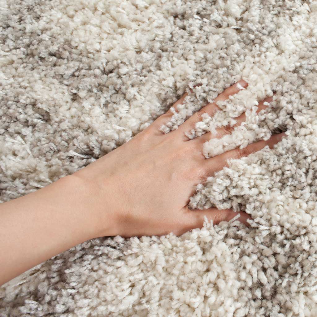 Arizona Shag Ivory/Beige Area Rug - Image 5