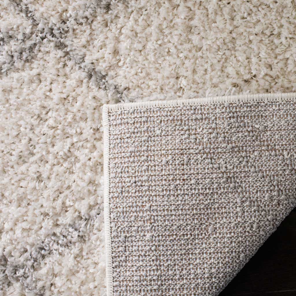 Arizona Shag Ivory/Gray Area Rug - Image 8
