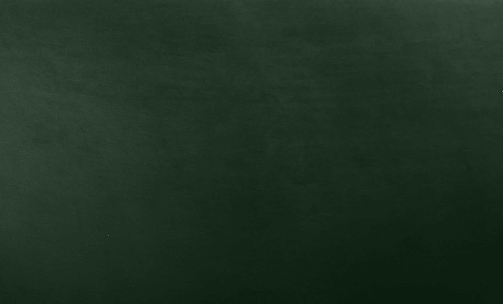Bagneux Velvet Sofa Green - Image 7