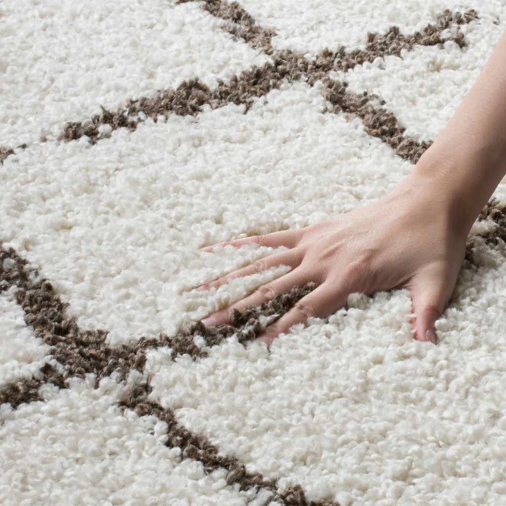 Berber Shag Creme/Brown Area Rug - Image 4