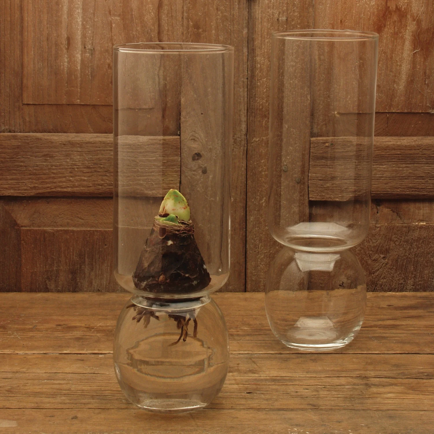 Bulba Vase Extra Tall - Image 2
