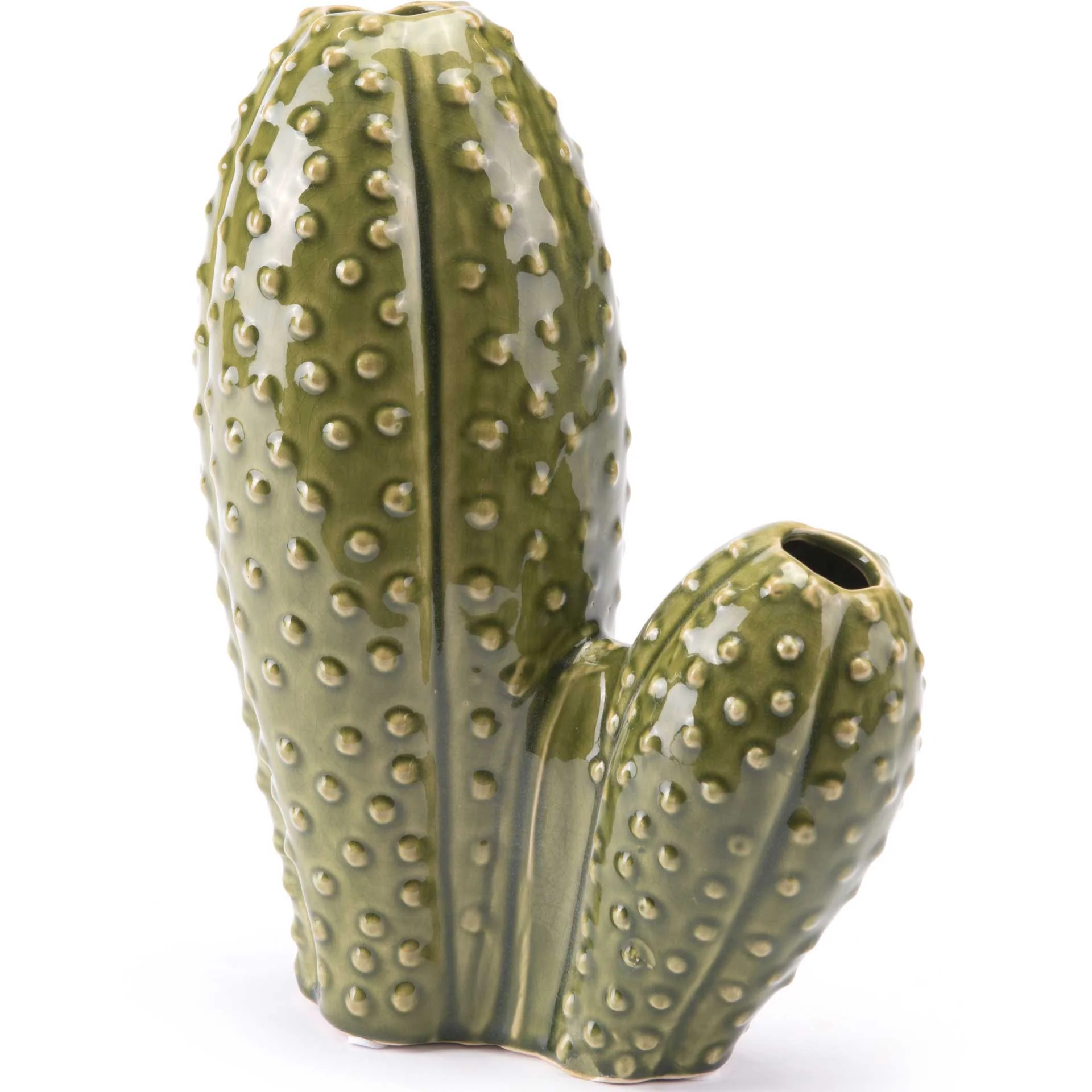 Cactus Green - Image 2