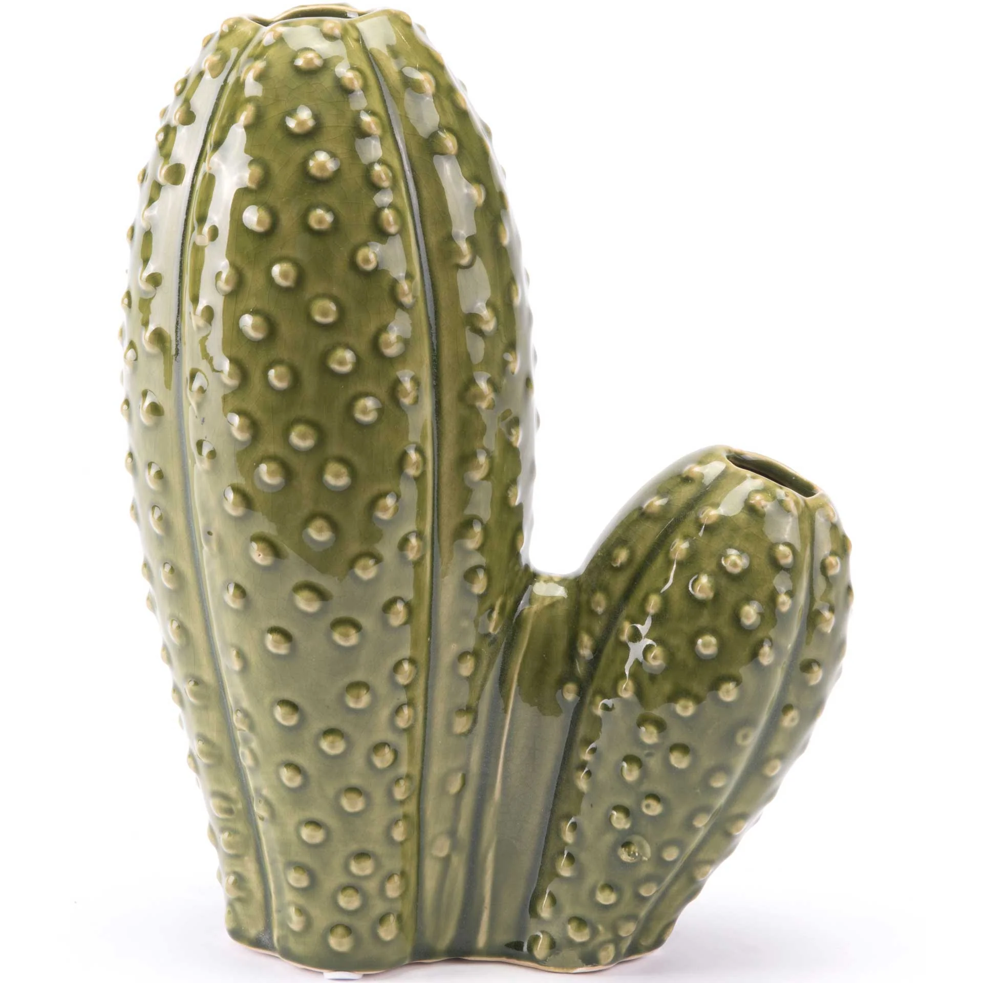 Cactus Green - Image 3