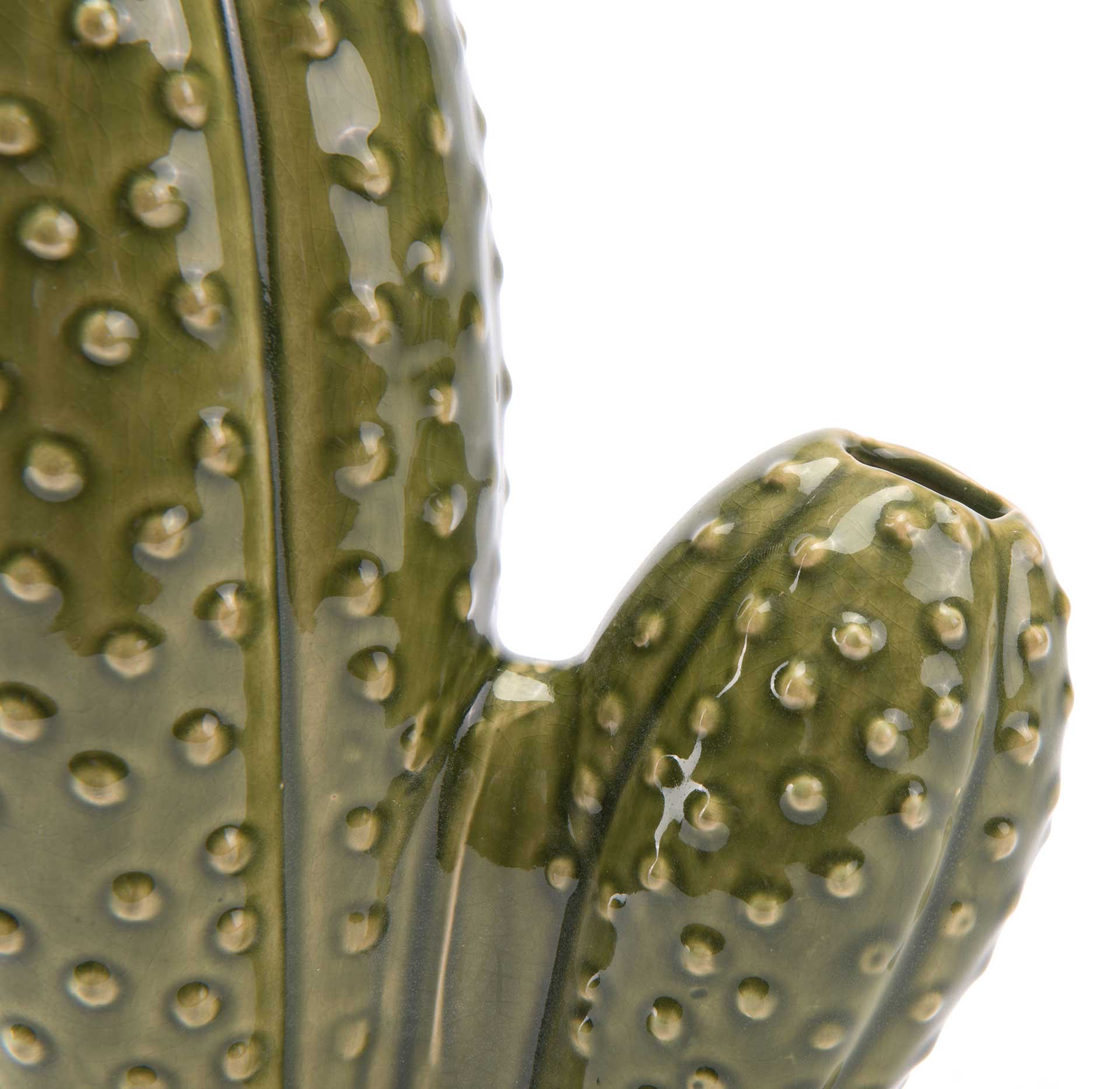 Cactus Green - Image 4
