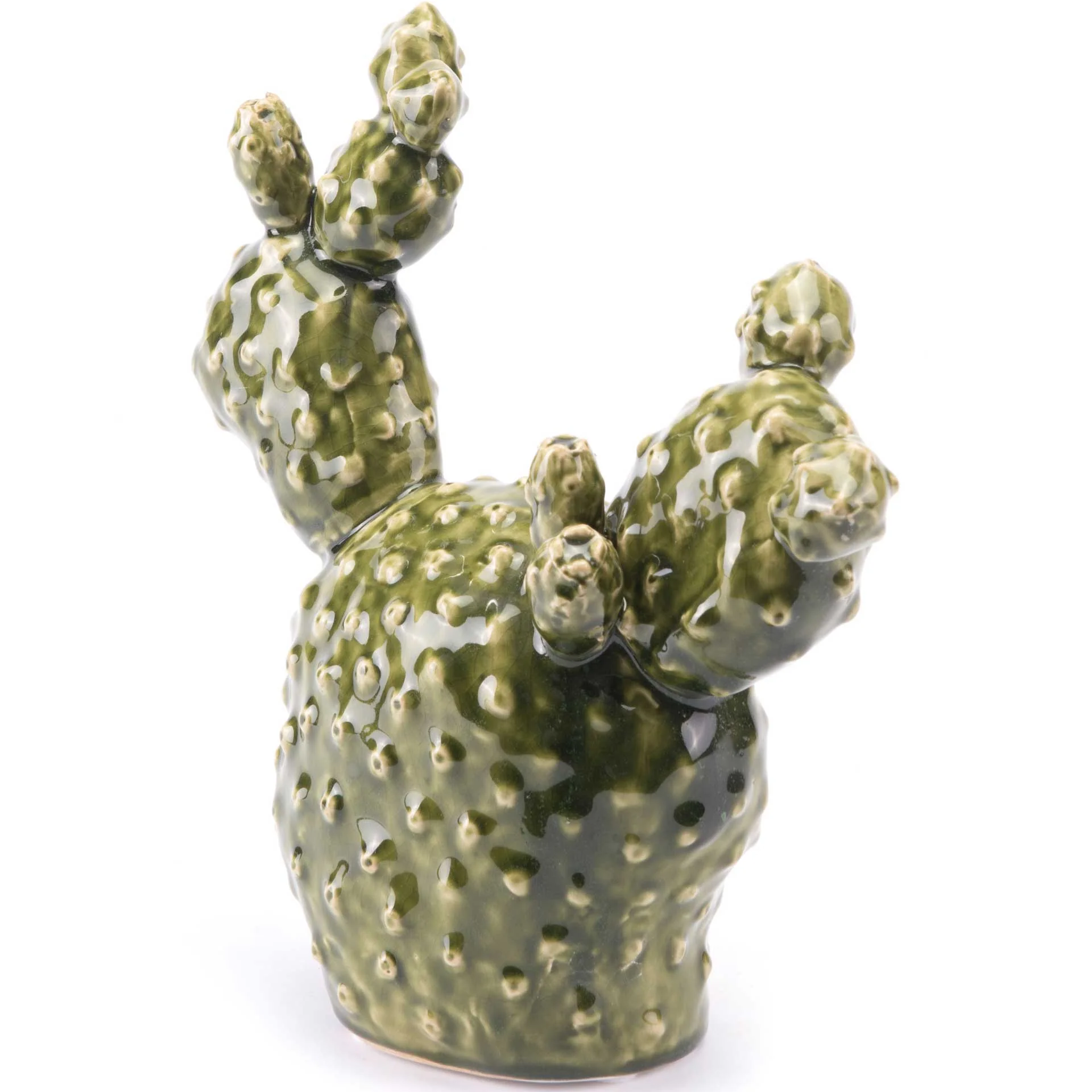 Cactus Green - Image 5