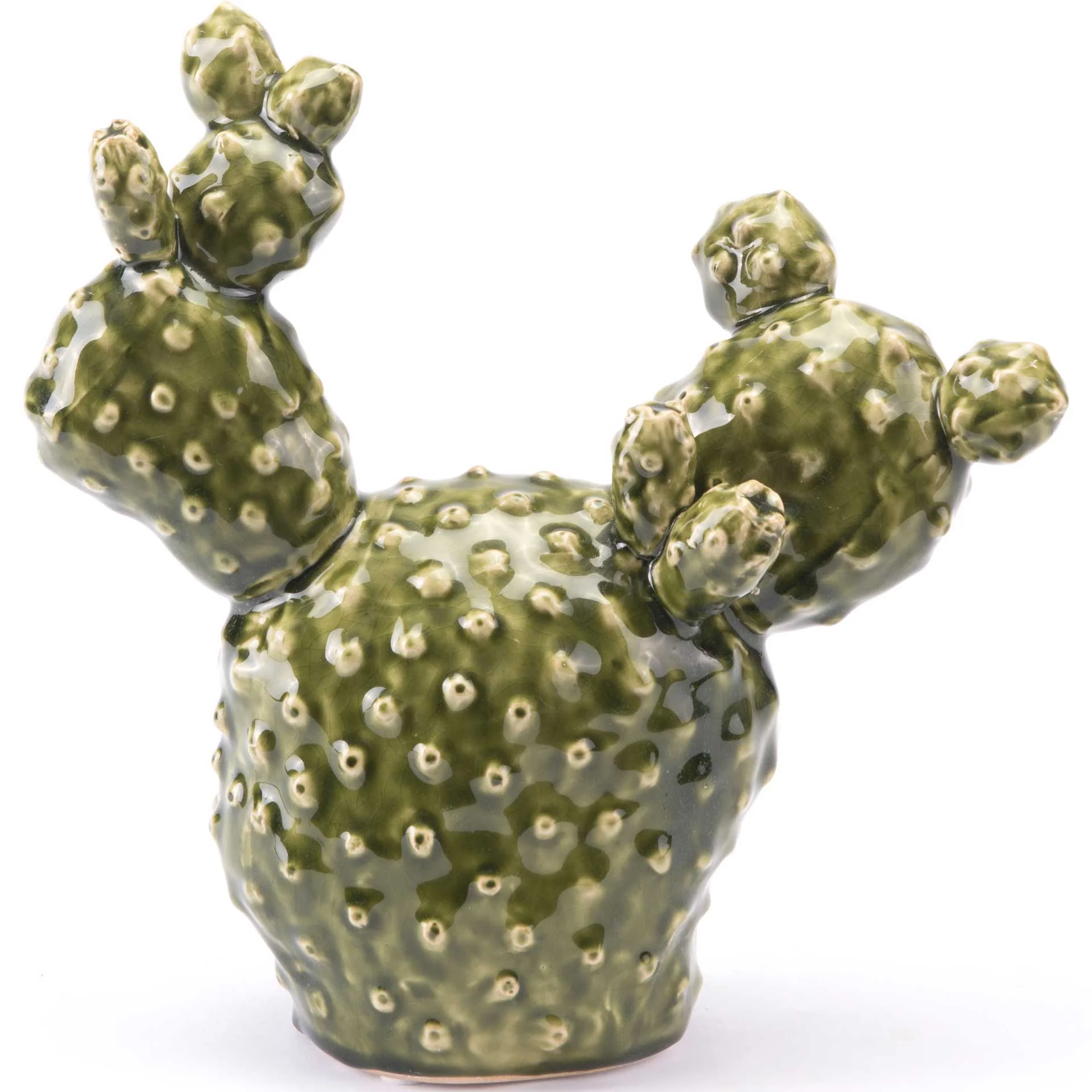 Cactus Green - Image 6