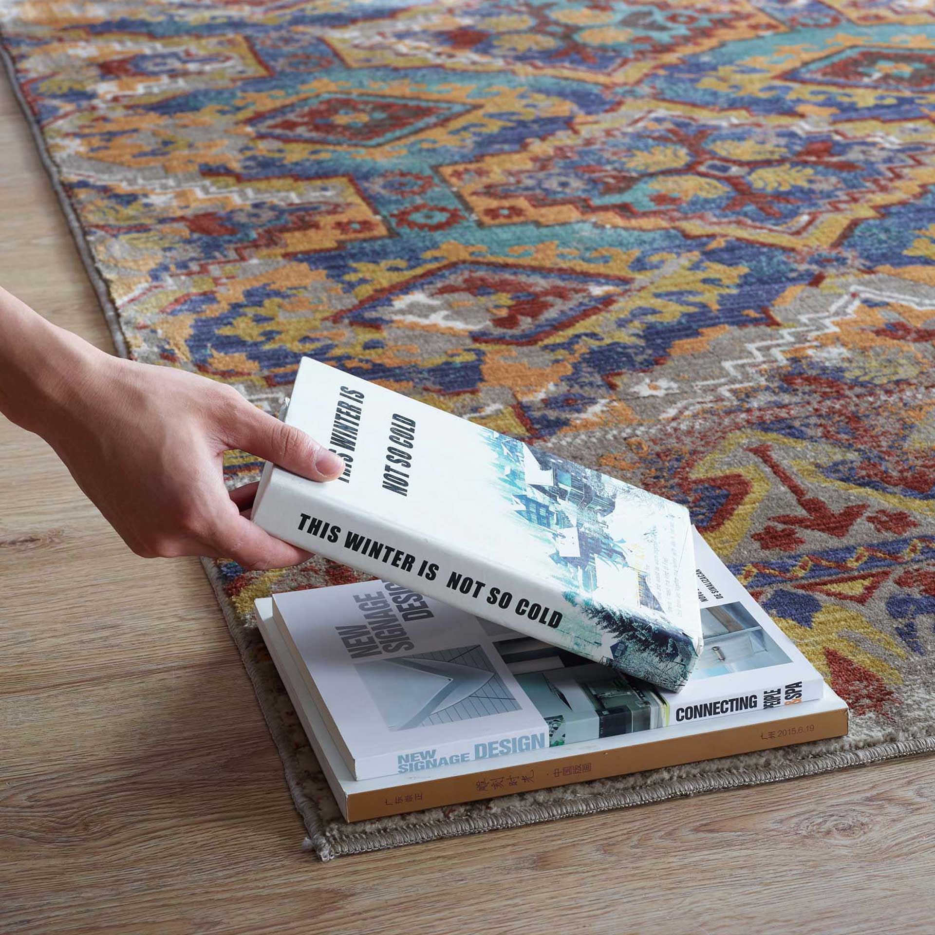 Canton Area Rug Multicolored - Image 5