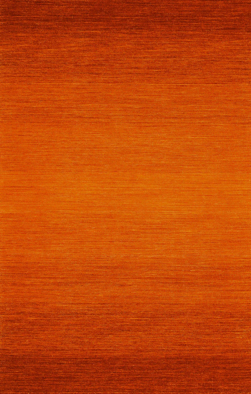 Chaz Tangerine/Burnt Orange Area Rug - Image 2