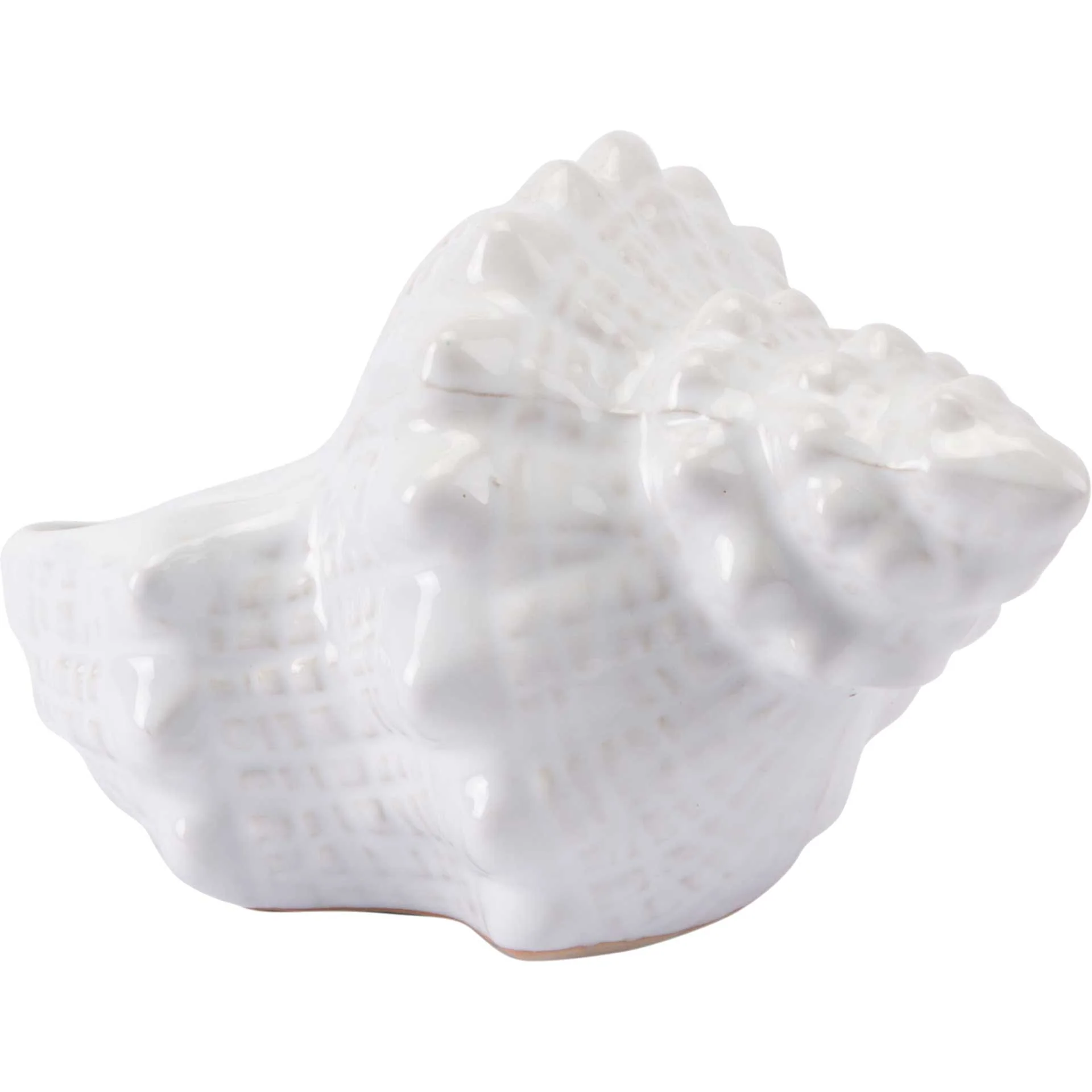 Coastal Ceramic Shell White - Image 3