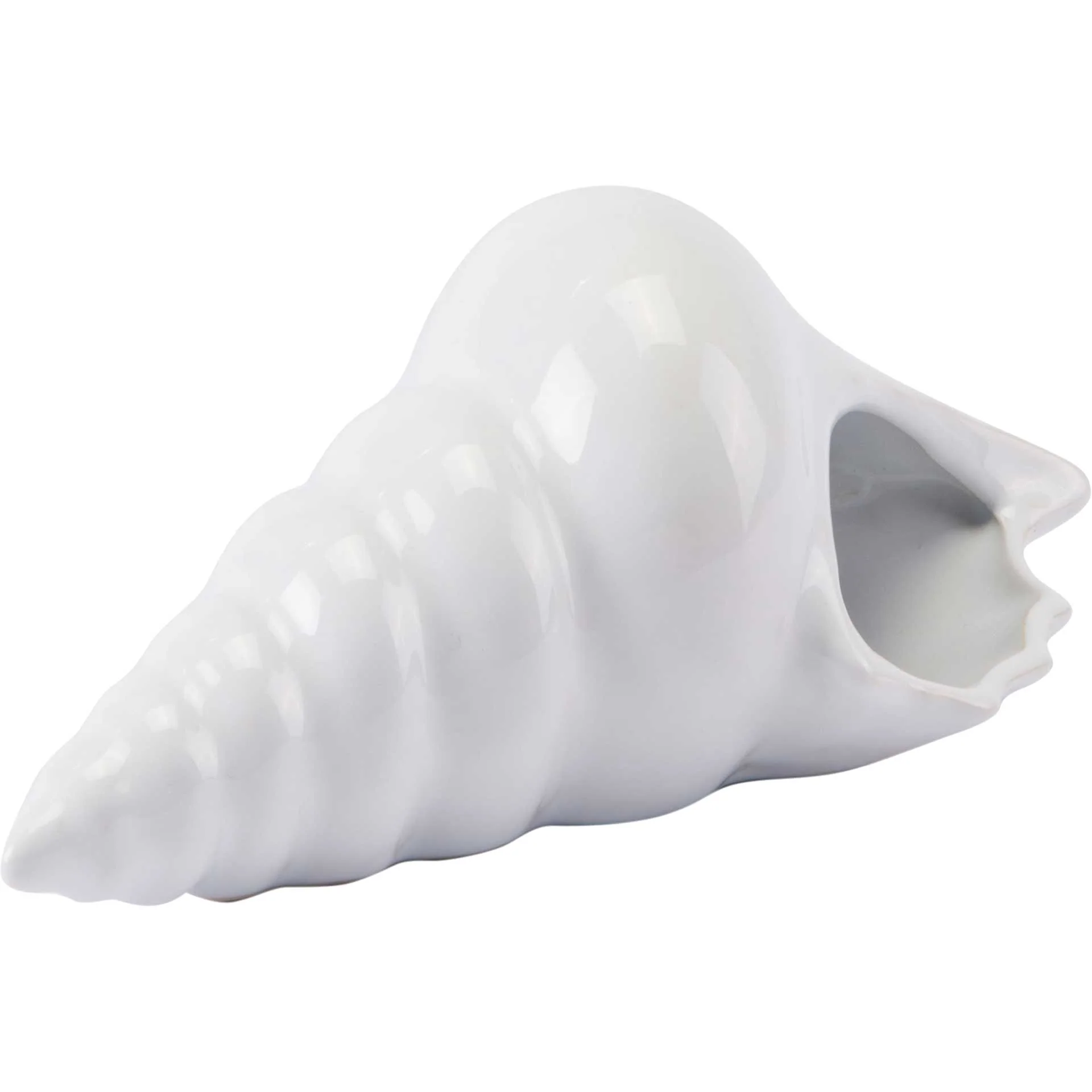 Coastal Ceramic Shell White - Image 5