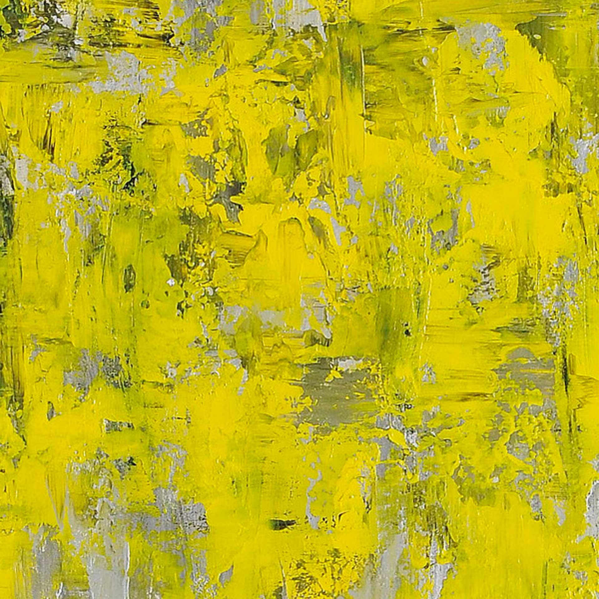 Daffodil Delight - Image 2
