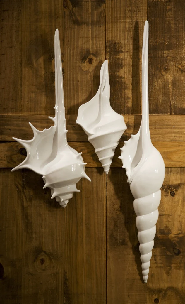 Delaware Shell Wall Decor (Set of 3) - Image 2