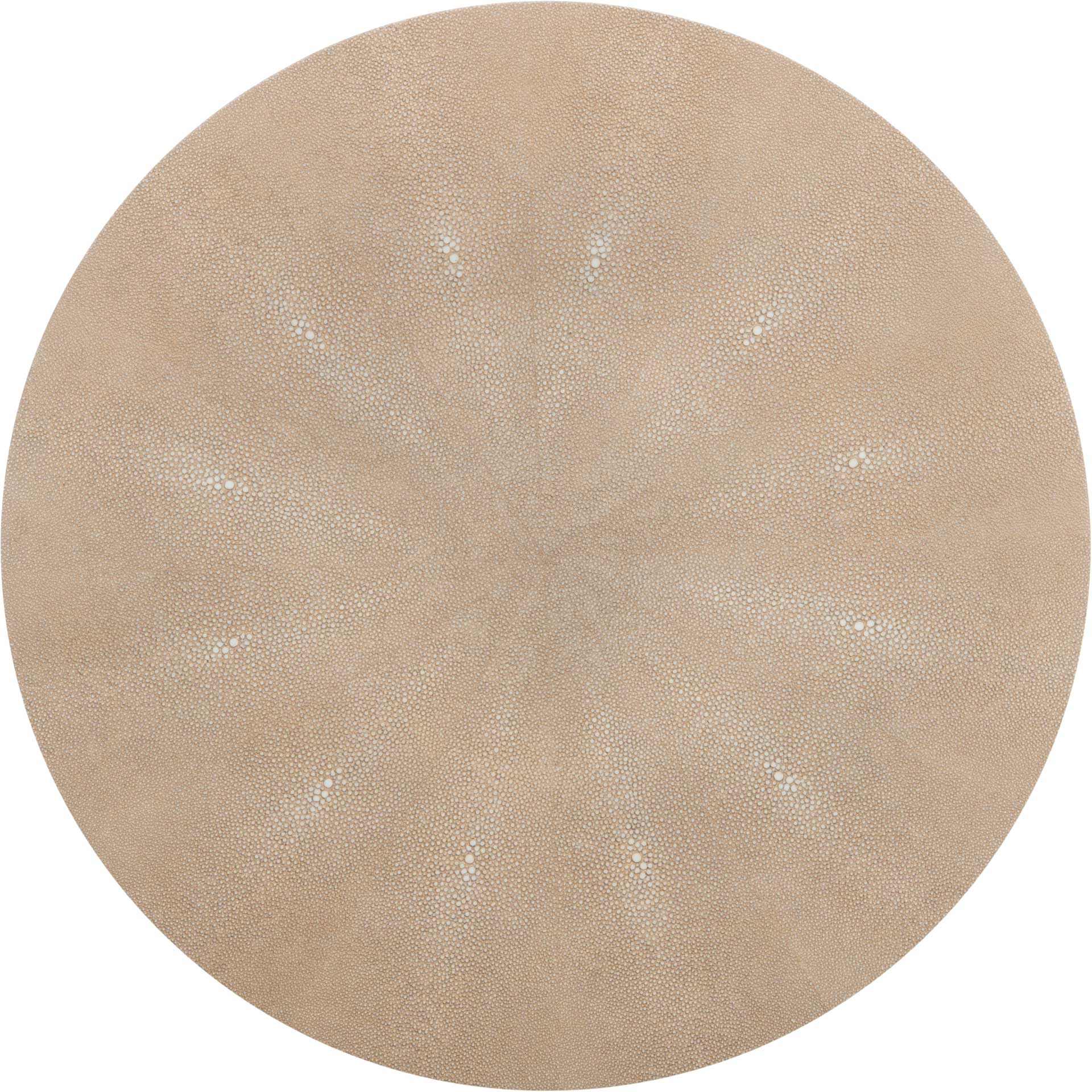 Digress Faux Shagreen End Table Natural - Image 2