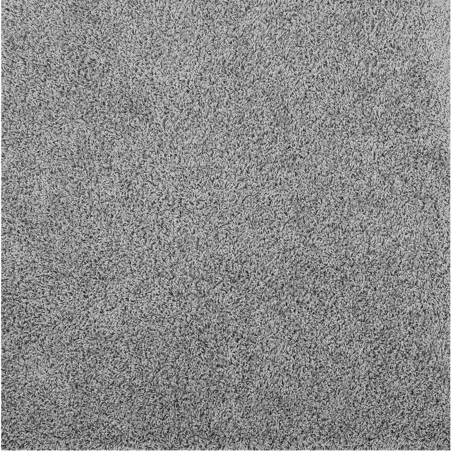 Erving Area Rug Silver/Gray - Image 2
