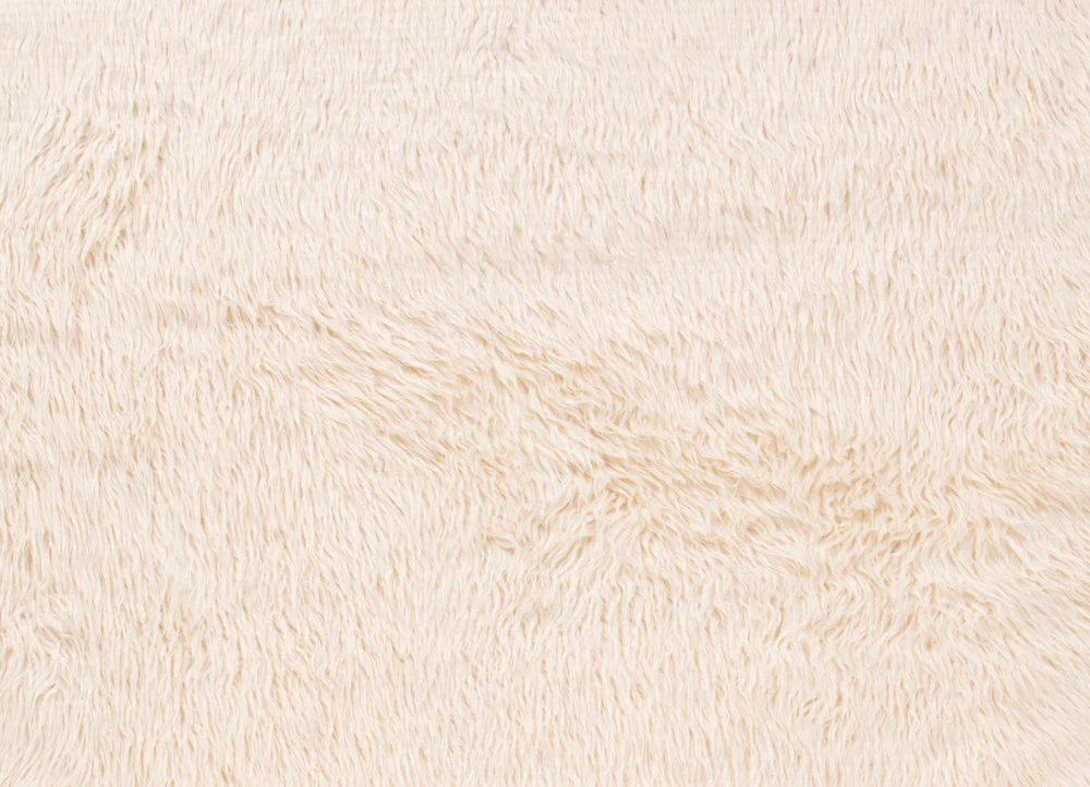 Heron Ivory/White Area Rug - Image 3