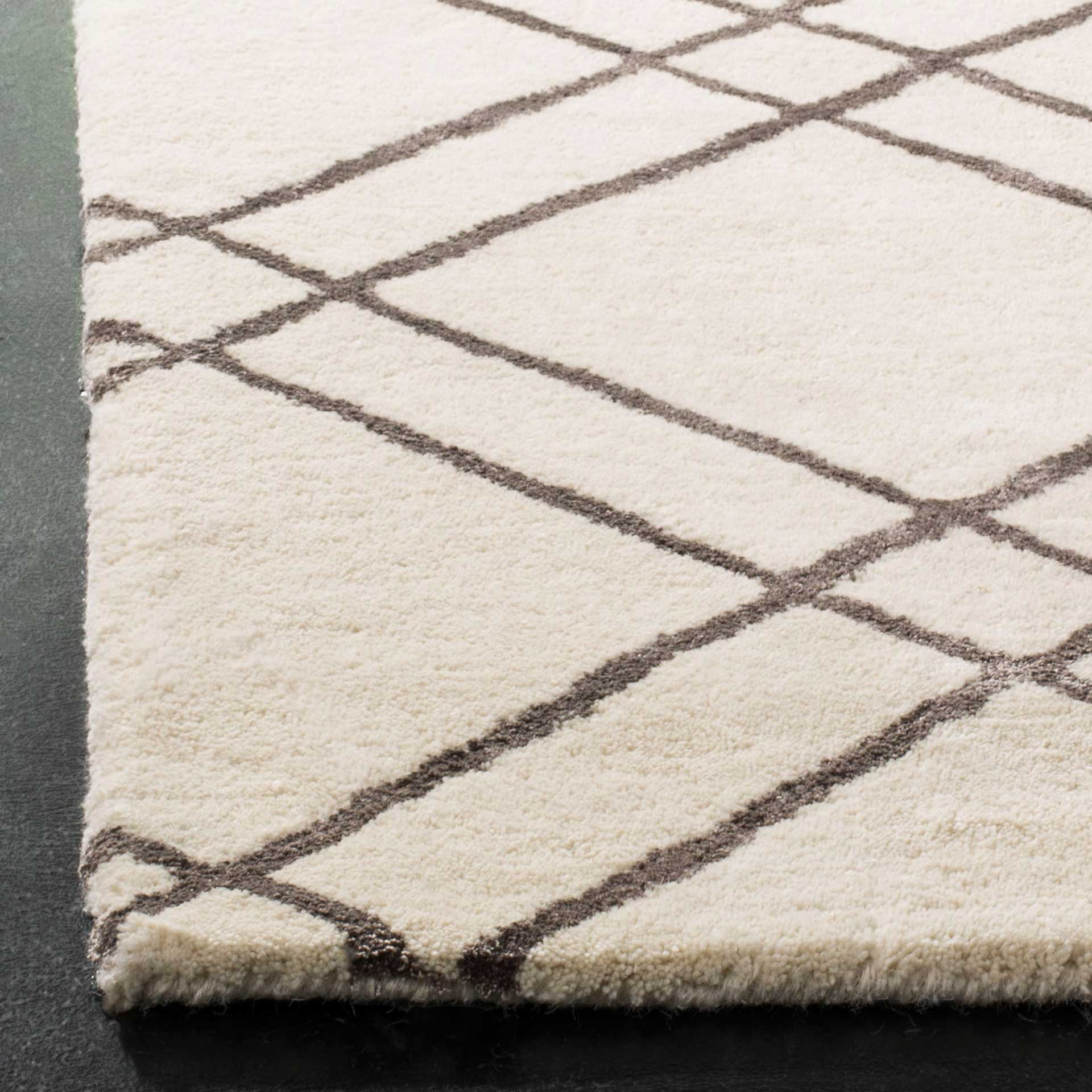 Himalaya Ivory/Dark Gray Area Rug - Image 3