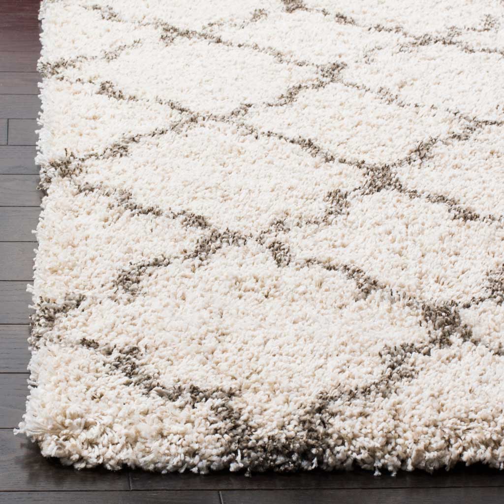 Hudson Shag Ivory/Gray Area Rug - Image 5