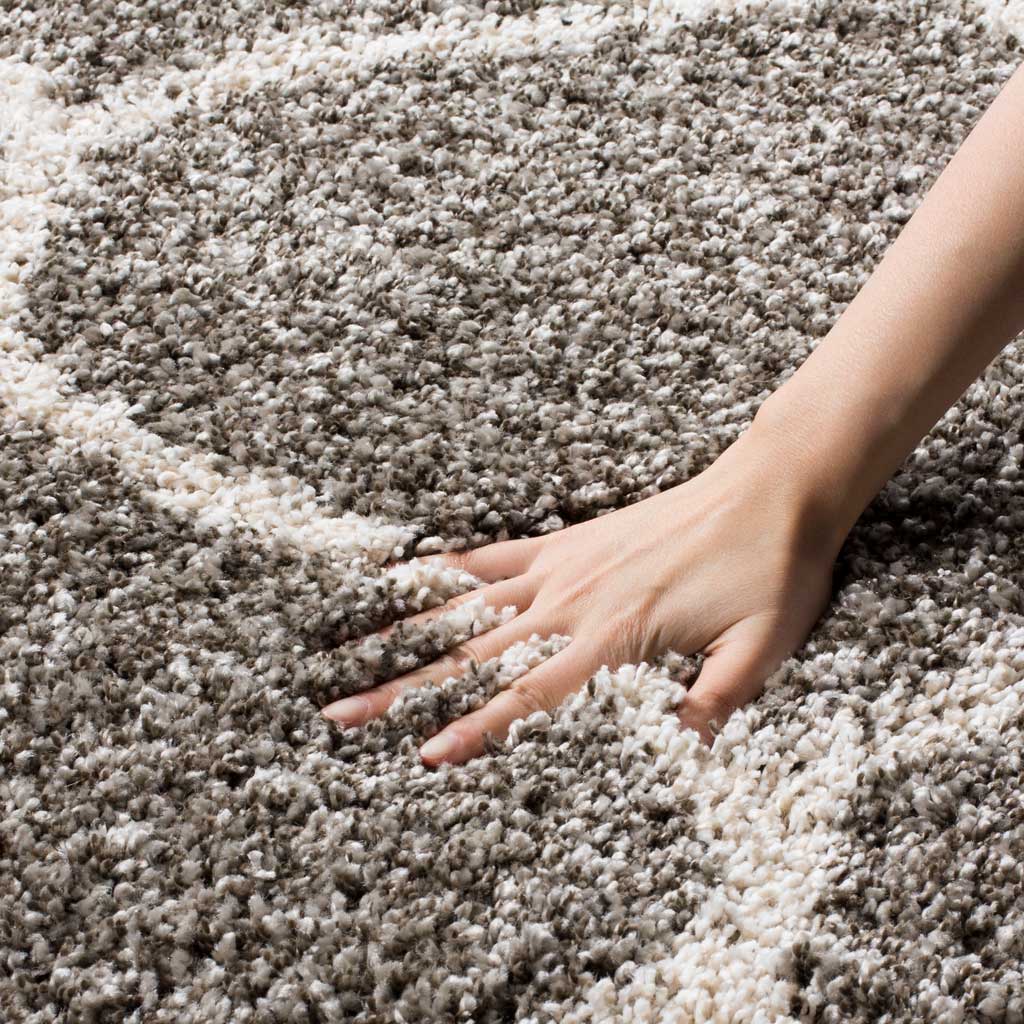 Hudson Shag Ogee Gray/Ivory Area Rug - Image 9