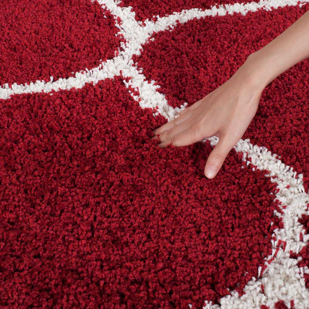 Hudson Shag Ogee Red/Ivory Area Rug - Image 6