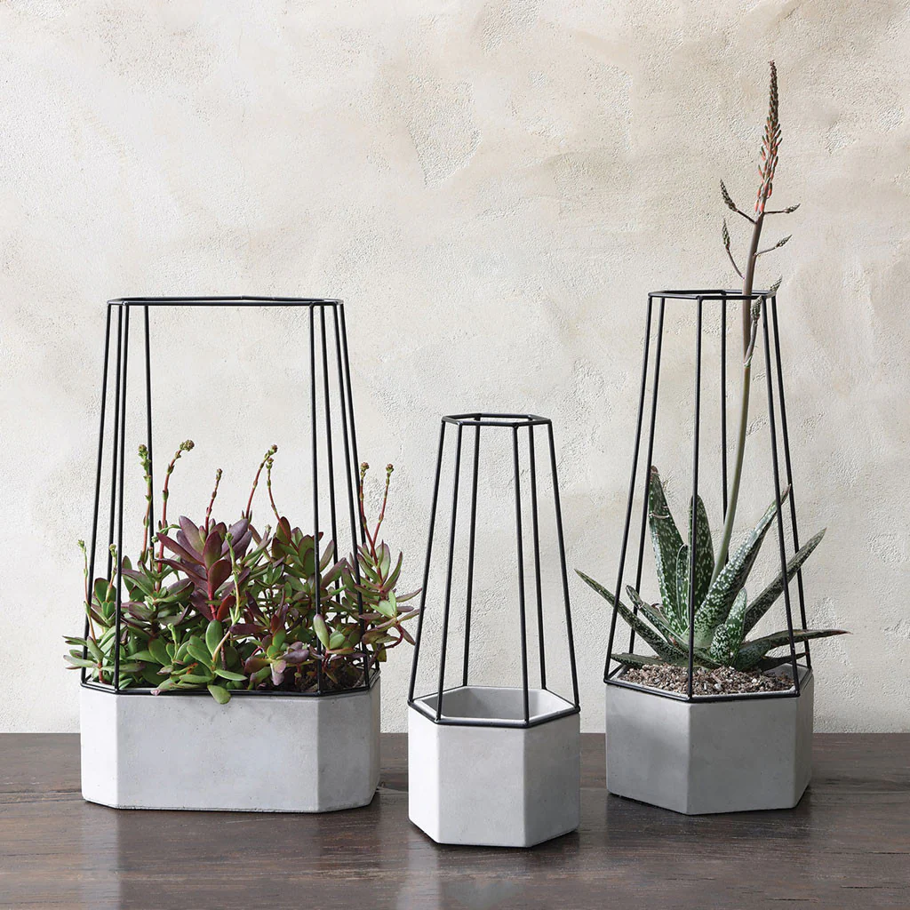Irving Planter Cement - Image 4