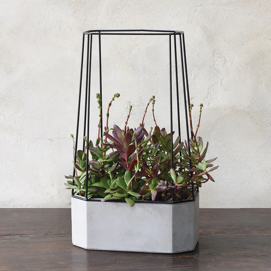 Irving Planter Cement - Image 7