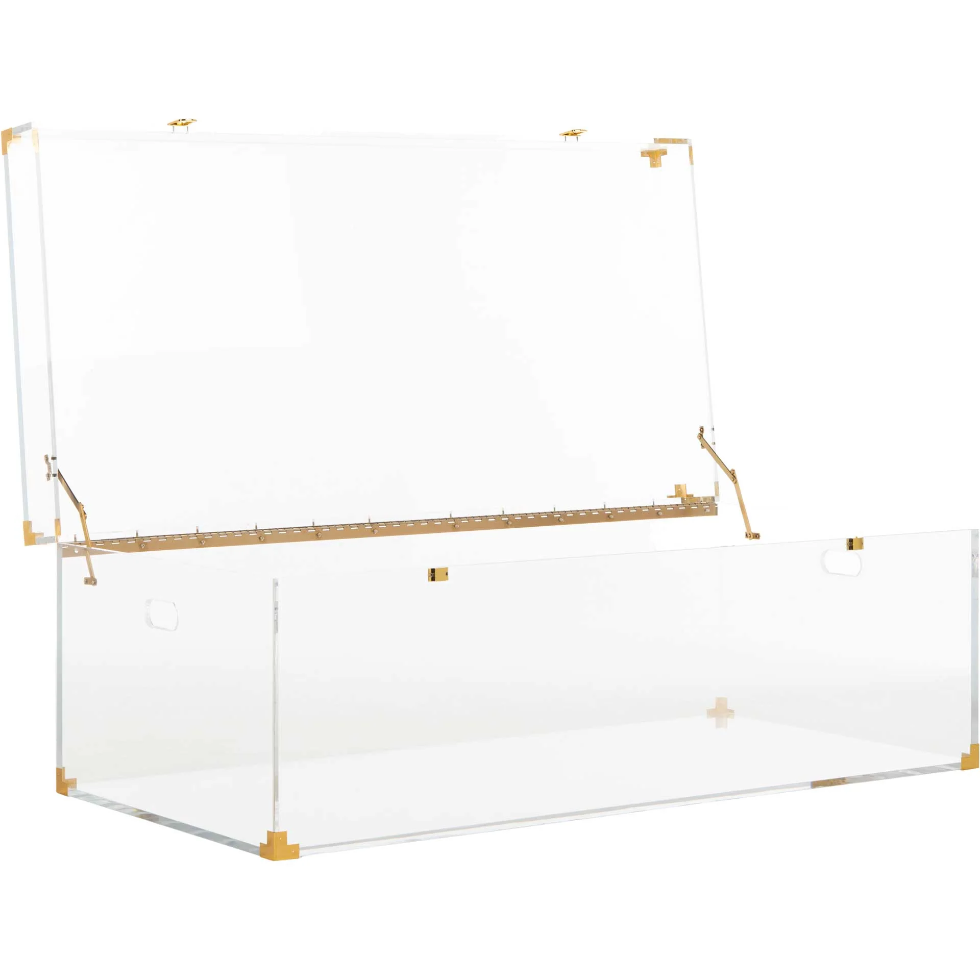Isabel Acrylic Trunk Coffee Table Clear/Brass - Image 2