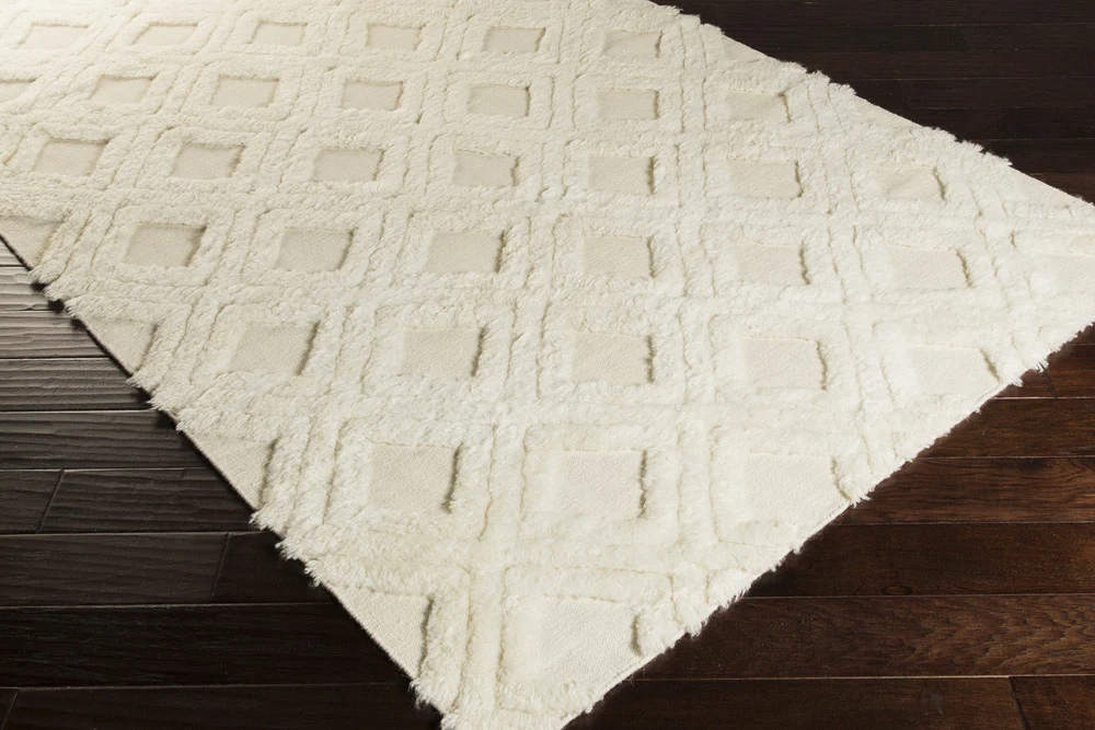 Kabru Ivory Area Rug - Image 4