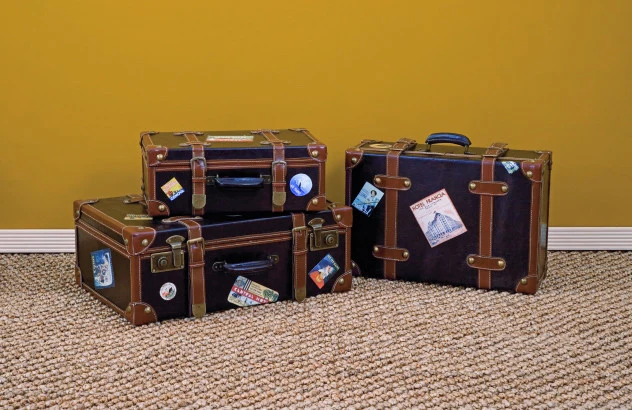 Livingston Suitcases (Set of 3) - Image 2