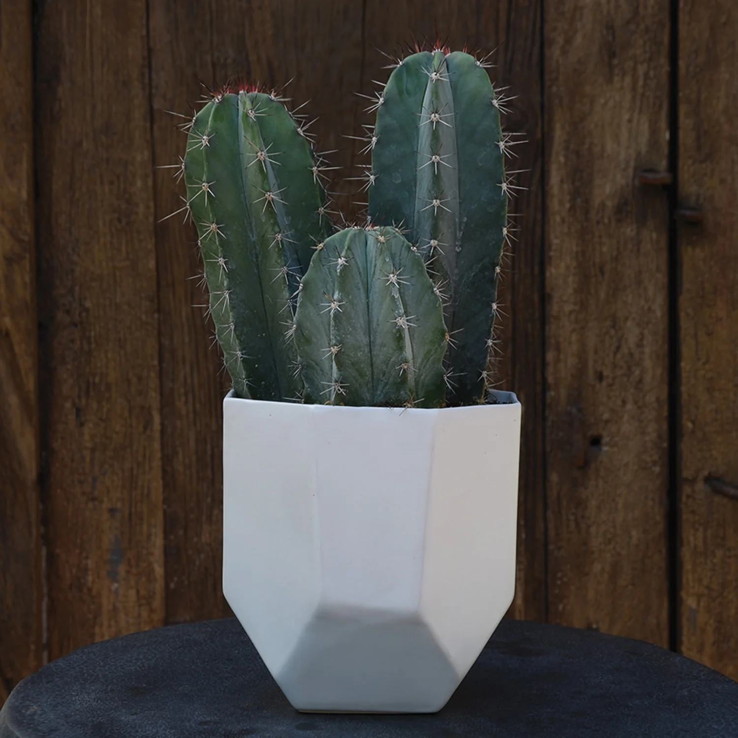 Luna Ceramic Vase - Image 6