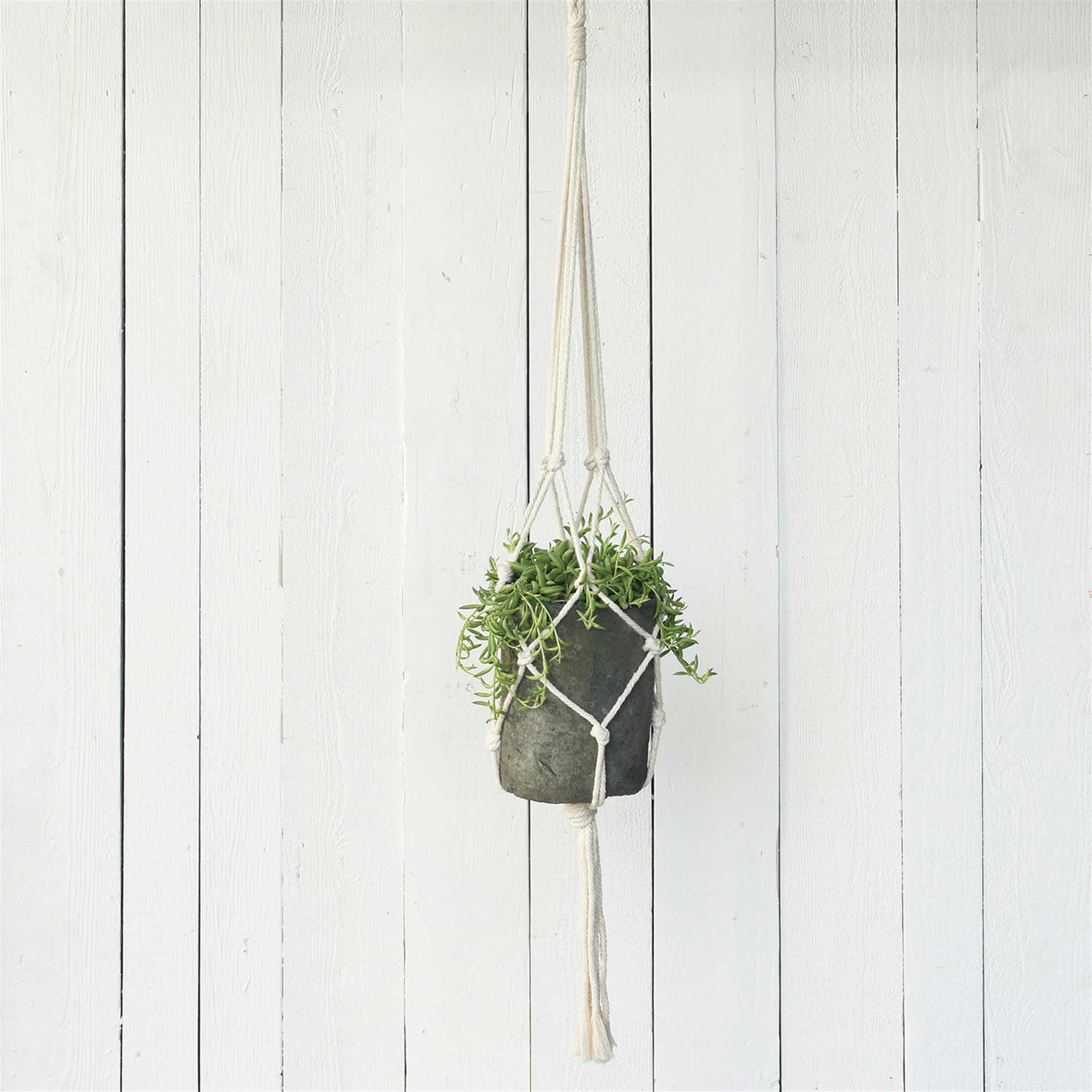 Macrame Hanger Cotton Natural - Image 2