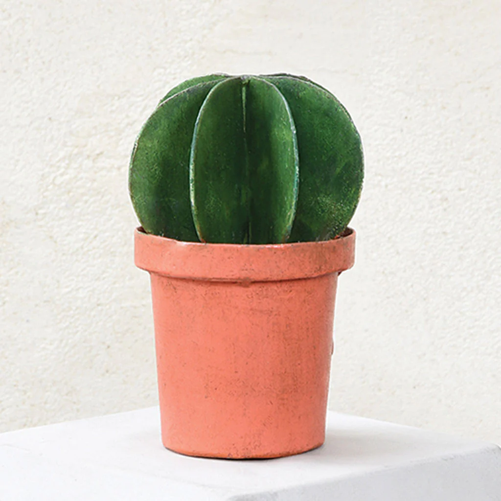 Metal Barrel Cacti - Image 2