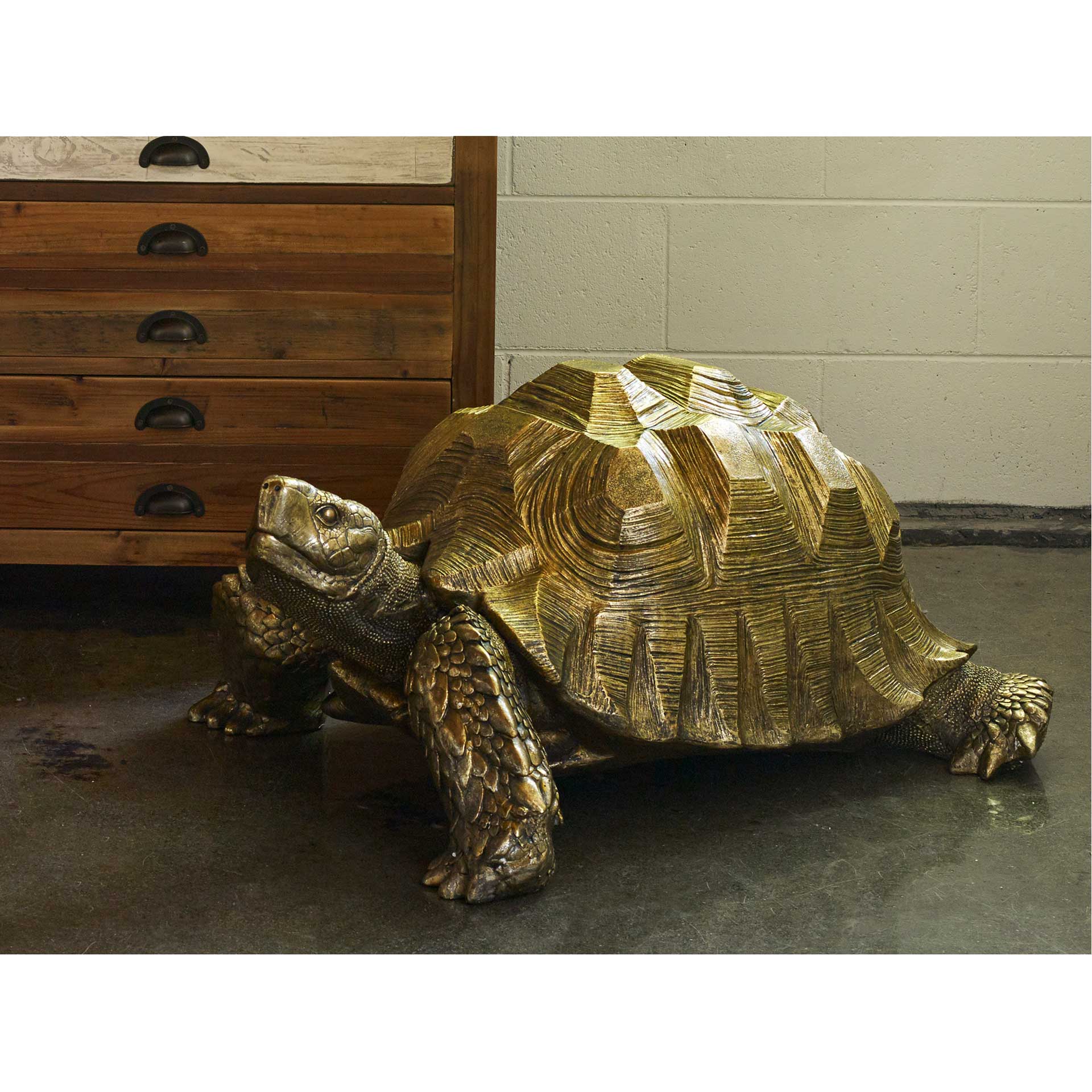 Morla Turtle Sculpture - Image 5
