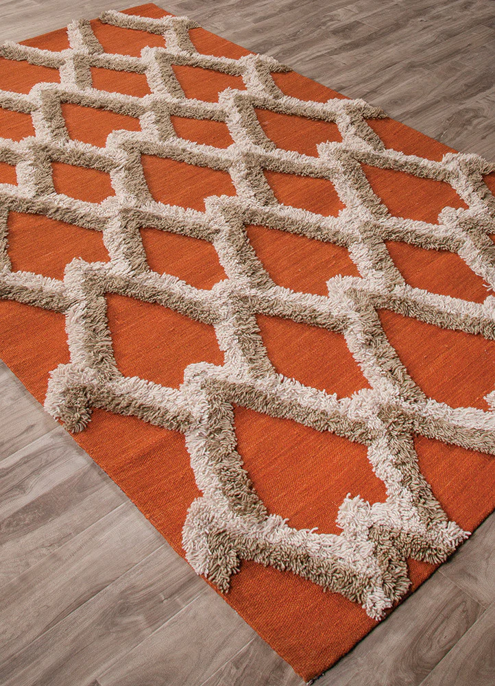 National Geographic Loras Apricot Orange/Pumice Stone Area Rug - Image 2
