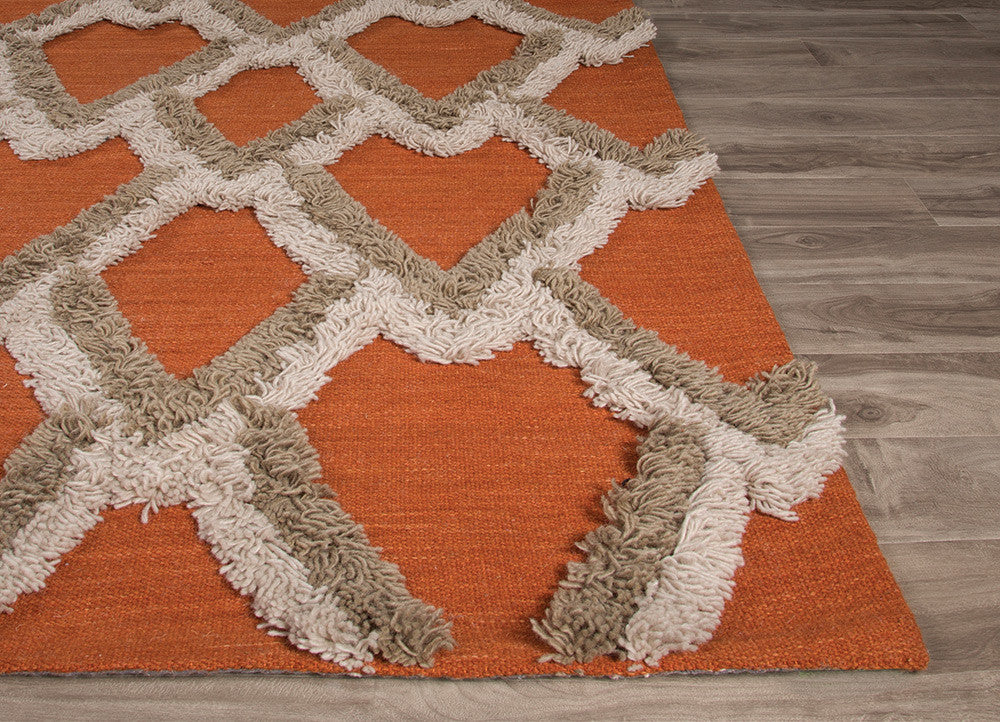 National Geographic Loras Apricot Orange/Pumice Stone Area Rug - Image 3