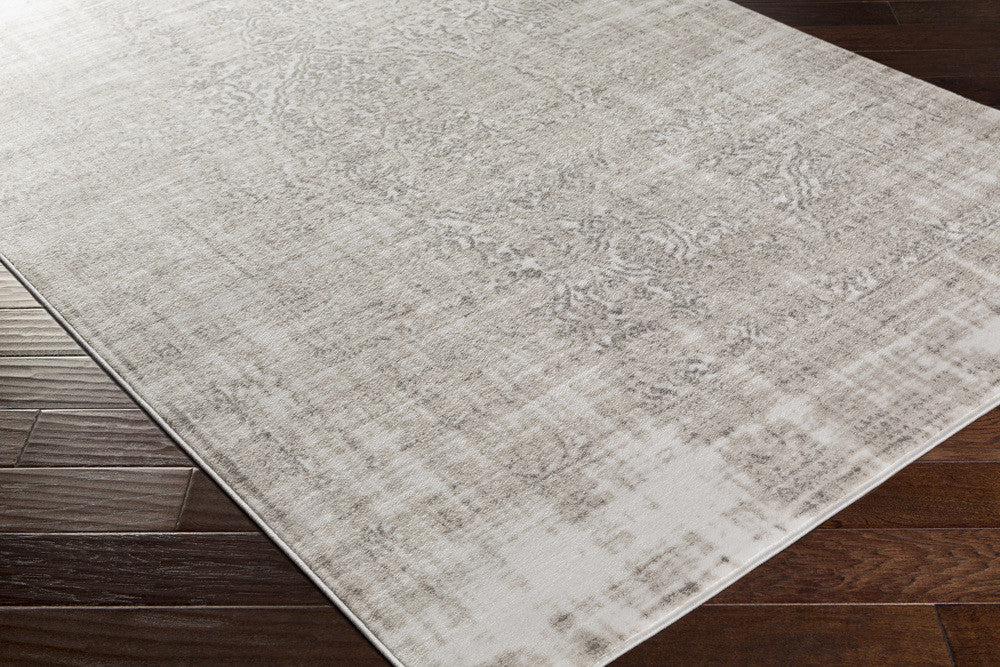 Nova Ivory/Light Gray Area Rug - Image 2