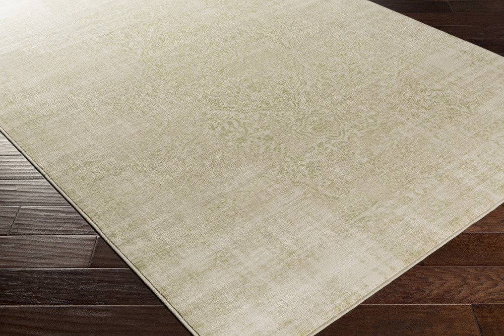 Nova Light Gray/Olive Area Rug - Image 2