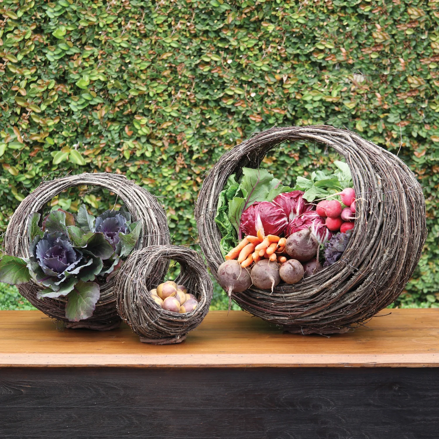 Orchard Willow Ellipse Basket - Image 3