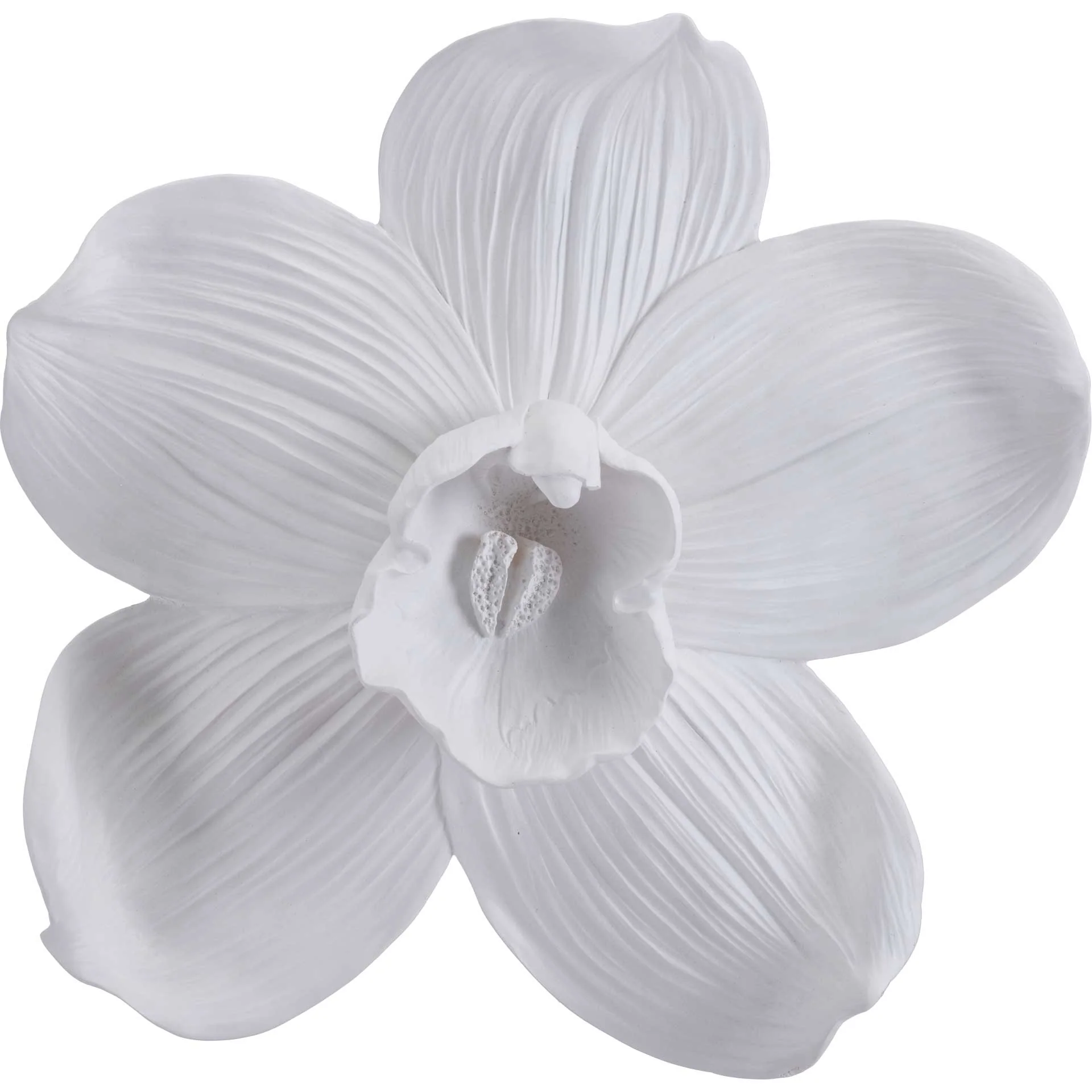 Orchid Wall Decor White - Image 2