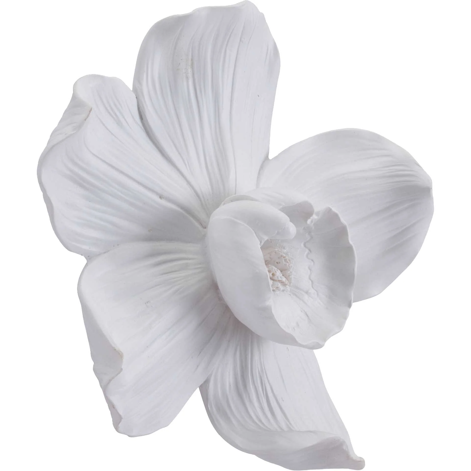 Orchid Wall Decor White - Image 5