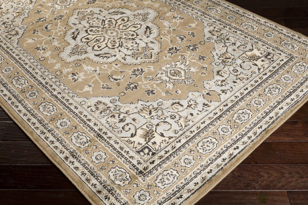 Paramount Taupe/Light Gray Area Rug - Image 3