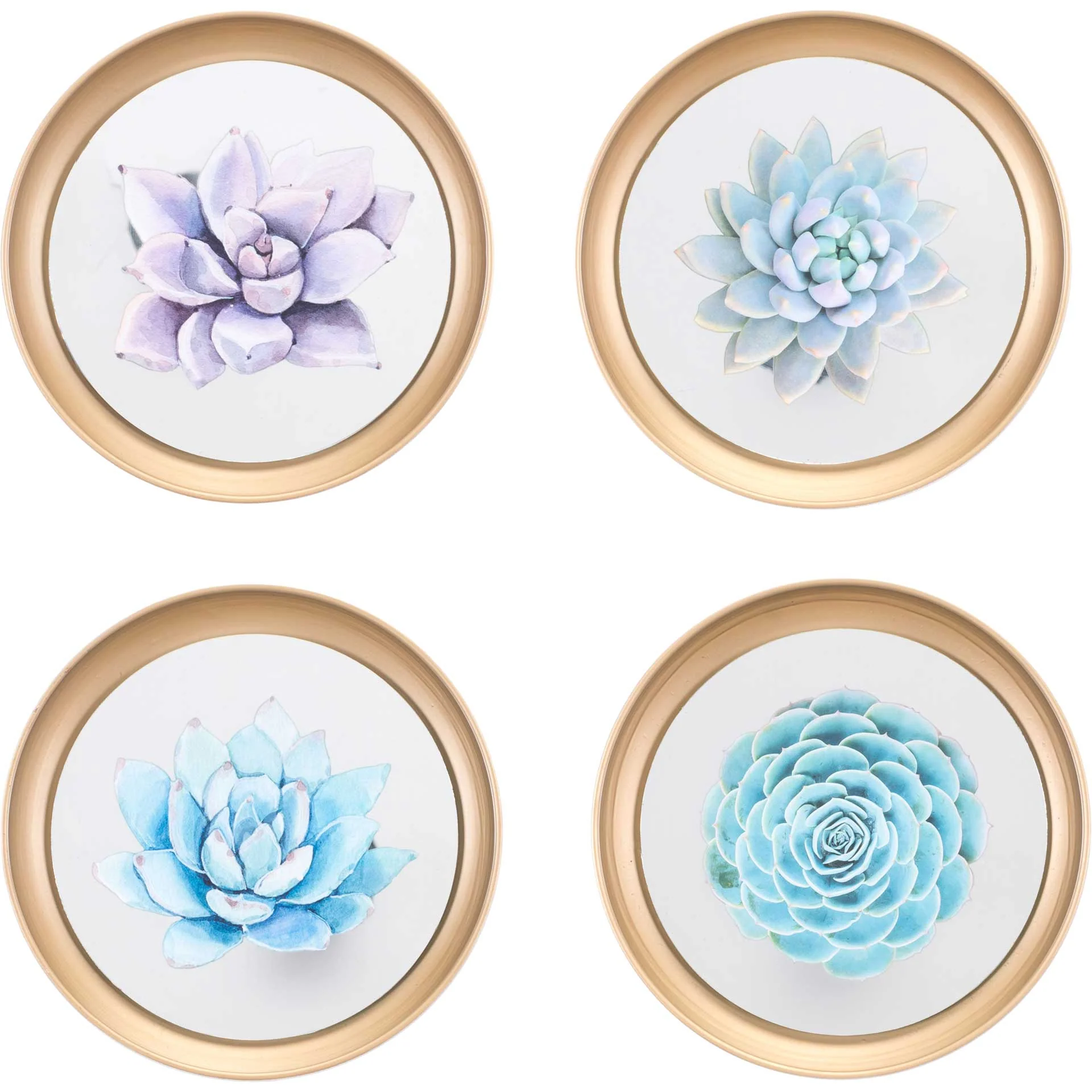 Pastel Succulents Plate (Set of 4) - Image 2
