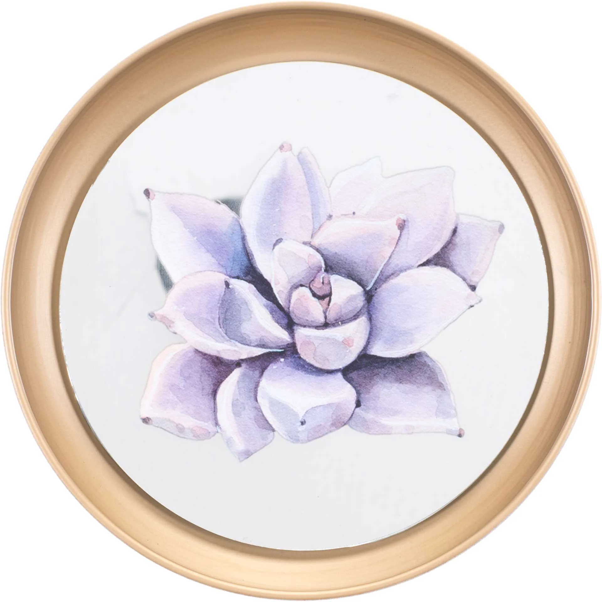 Pastel Succulents Plate (Set of 4) - Image 3
