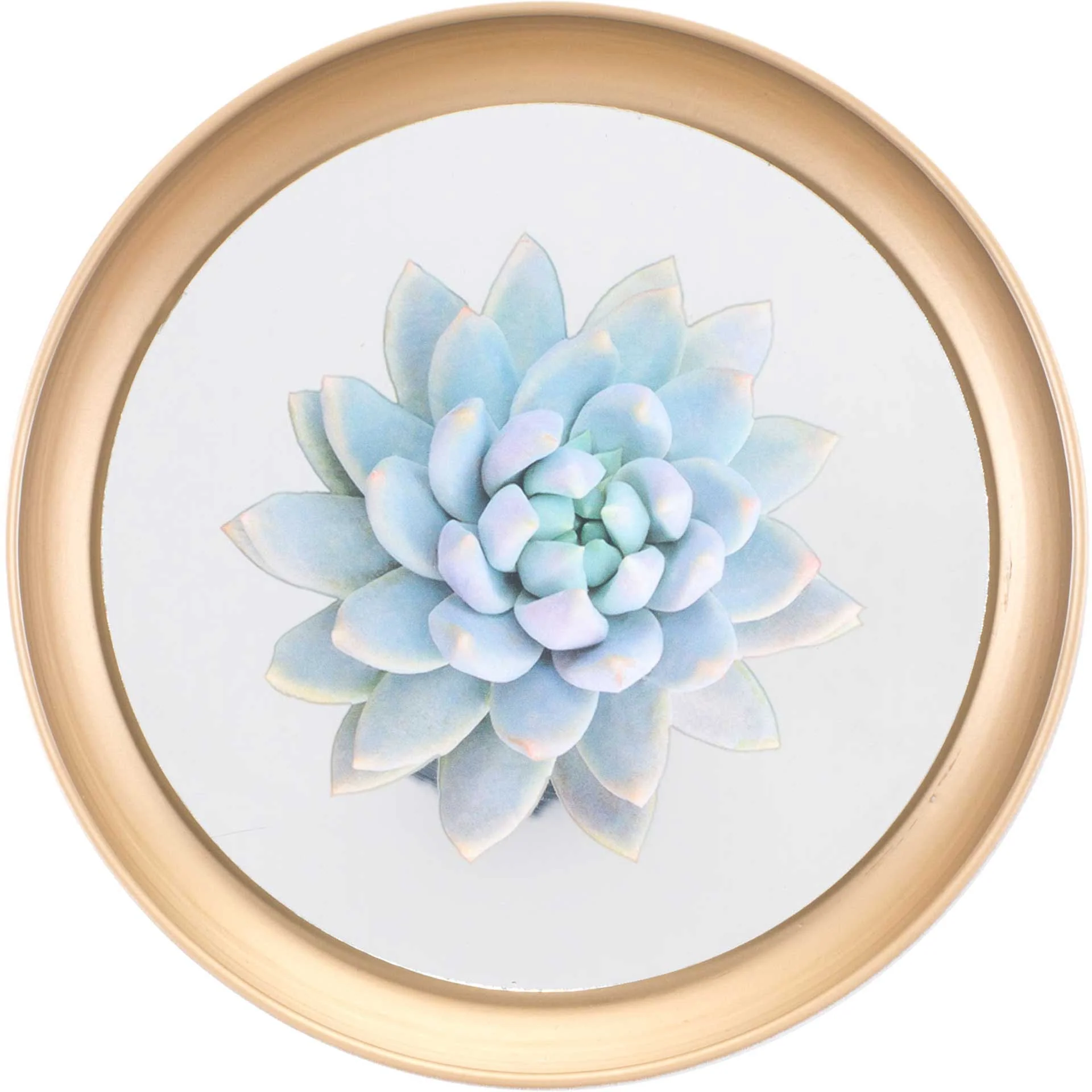 Pastel Succulents Plate (Set of 4) - Image 4