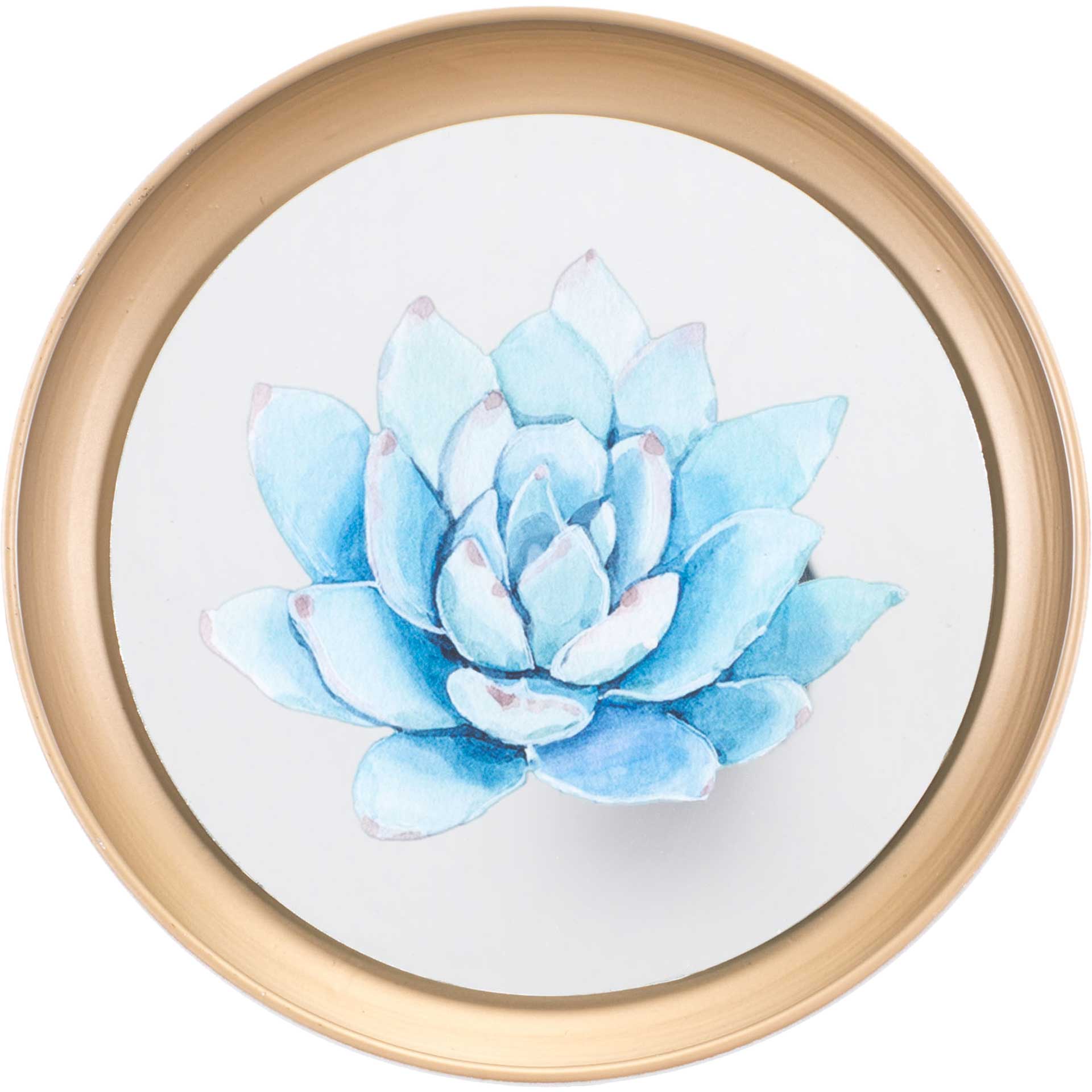 Pastel Succulents Plate (Set of 4) - Image 5