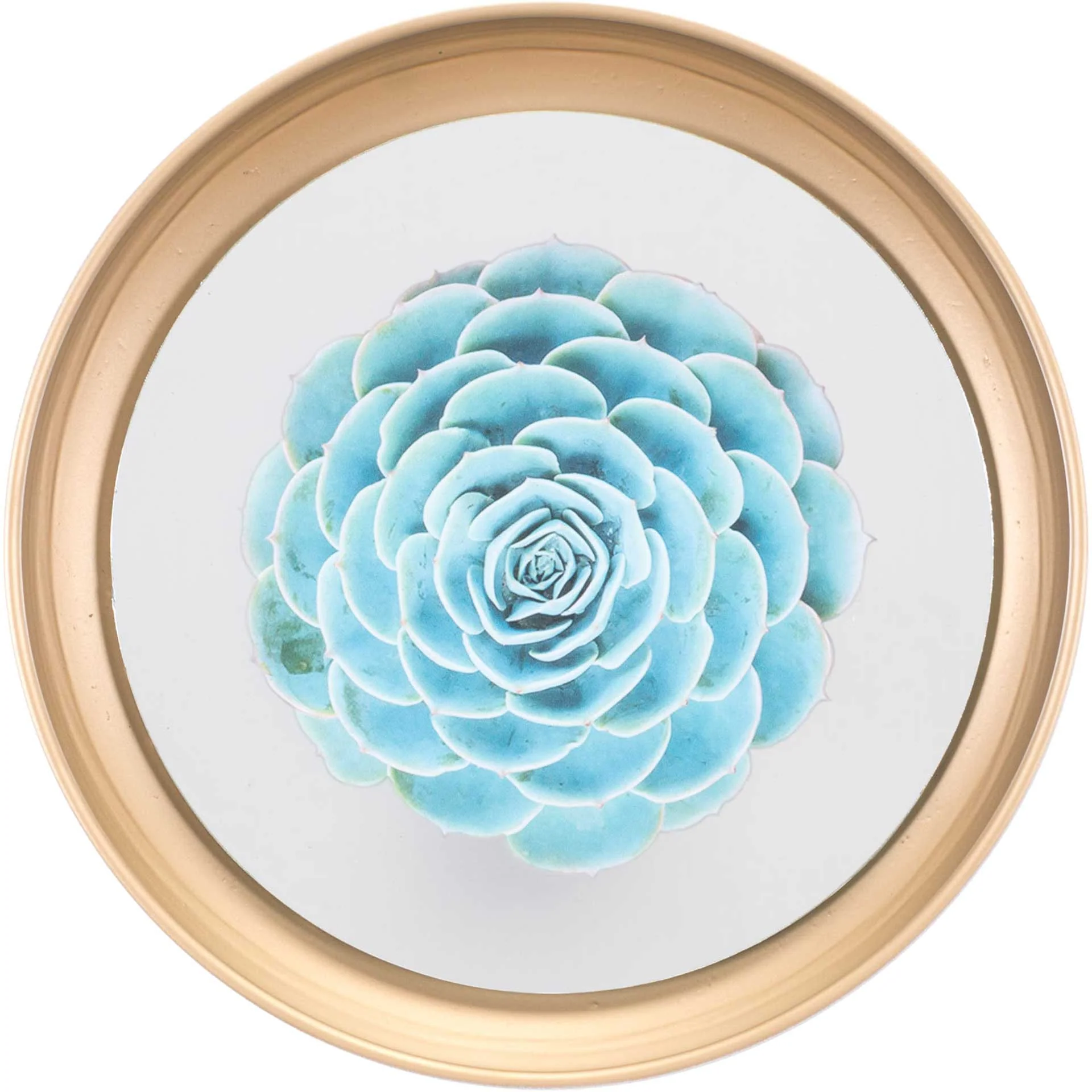 Pastel Succulents Plate (Set of 4) - Image 6